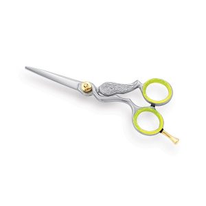 Professional Hair Cutting Scissor